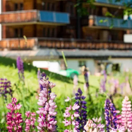 Sportina 22 * Riederalp